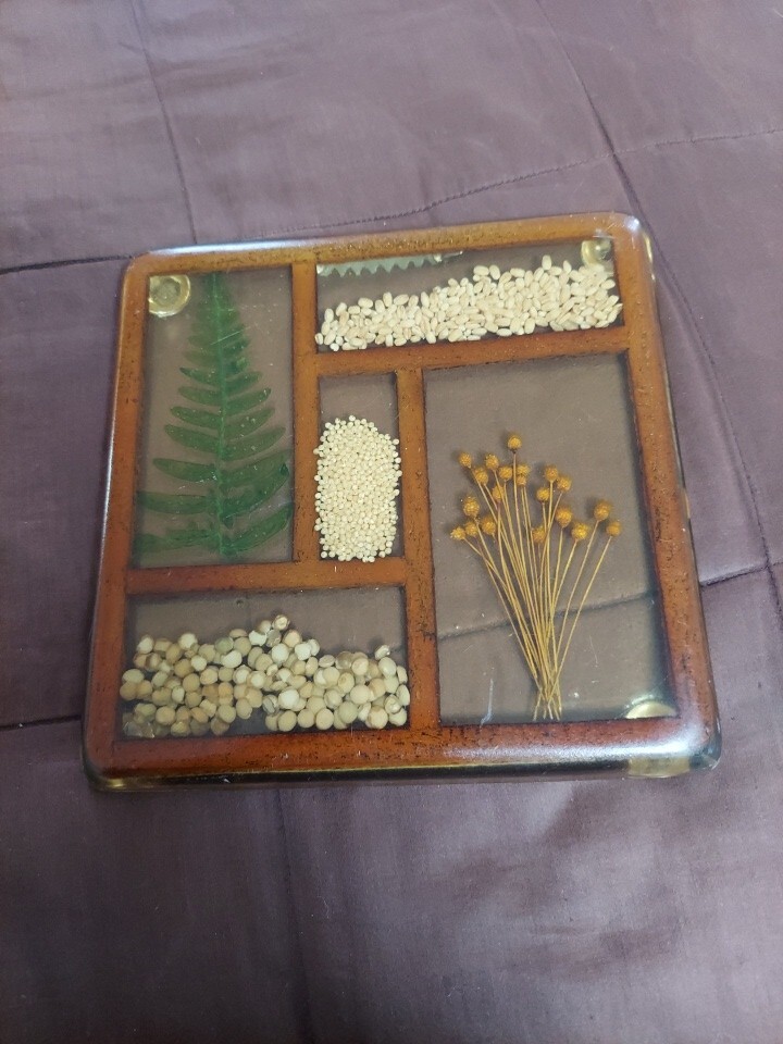 Vtg 1970s Acrylic 7 inch Trivet Seeds and Grain Square MidCentury Back to Nature