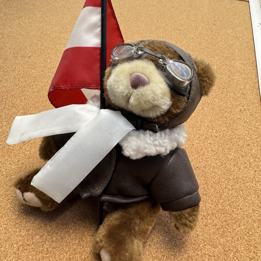 7-inch plush brown teddy bear with removable hat jacket and goggles