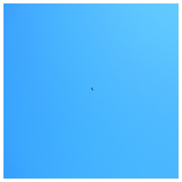 Cracked Vessel - No Path - Used Vinyl Record - 19 - T16280A