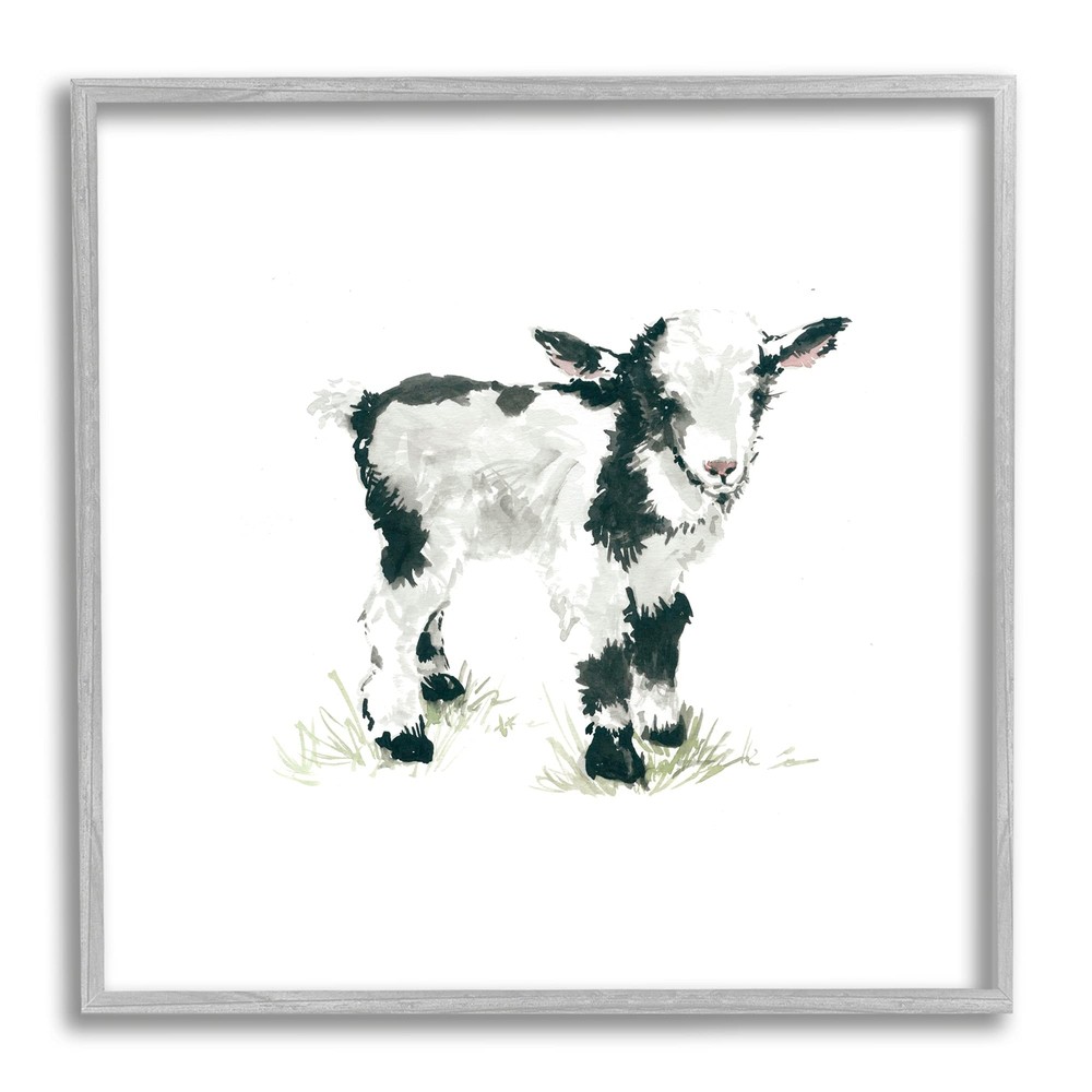 Baby Farm Lamb Minimal Country Animal Over White Wall Art, 17 x 17, Grey Framed