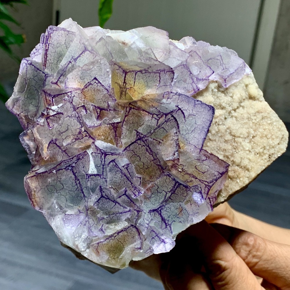 3.31LB Natural Purple 