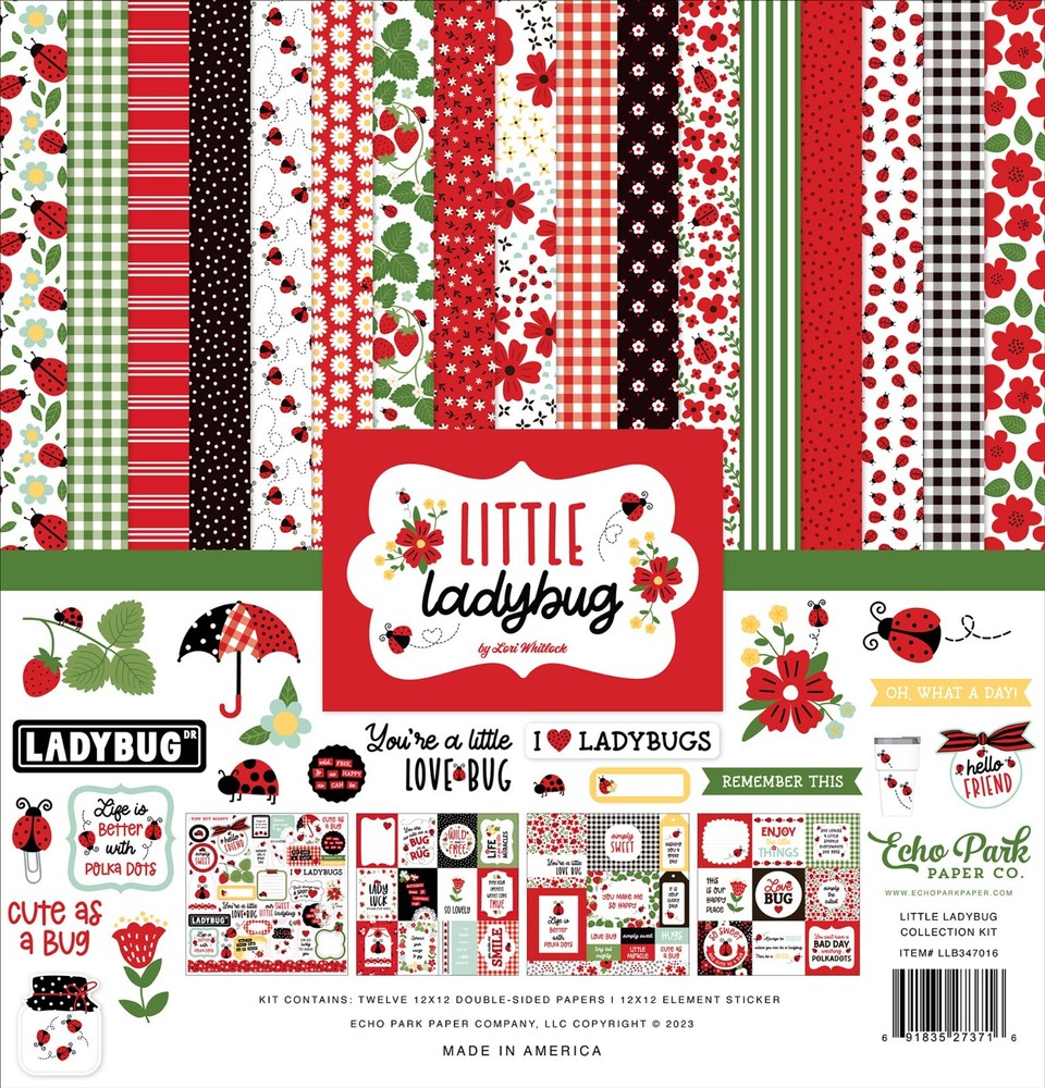 Echo Park LITTLE LADYBUG 12x12 Collection Kit Scrapbook Journal Spring Garden