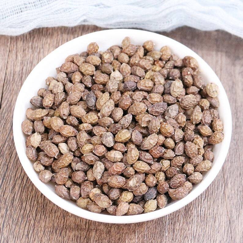 Organic Herbal Java Brucea Fruit Fructus Bruceae Brucea Javanica Great Quality