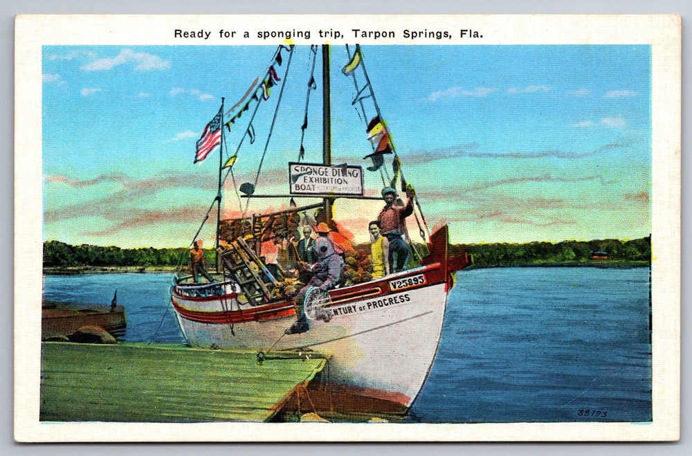 Vintage Sponge Diving Boat Postcard Tarpon Springs FL 1950s AA24