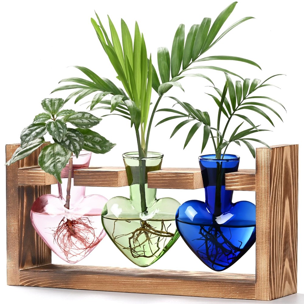 Heart Shaped Propagation Stations, Plant Terrarium with Wooden Stand, Plant P...