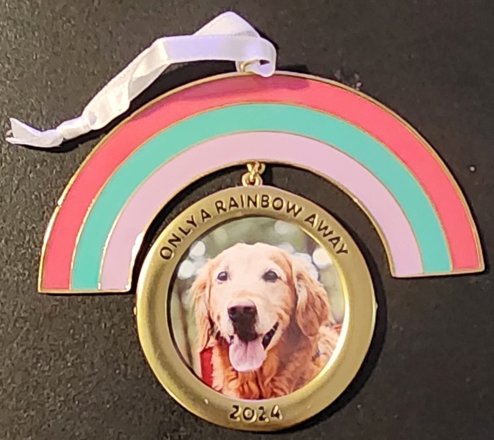 2024 Hallmark Rainbow Bridge Pet Memorial Ornament Only A Rainbow Away