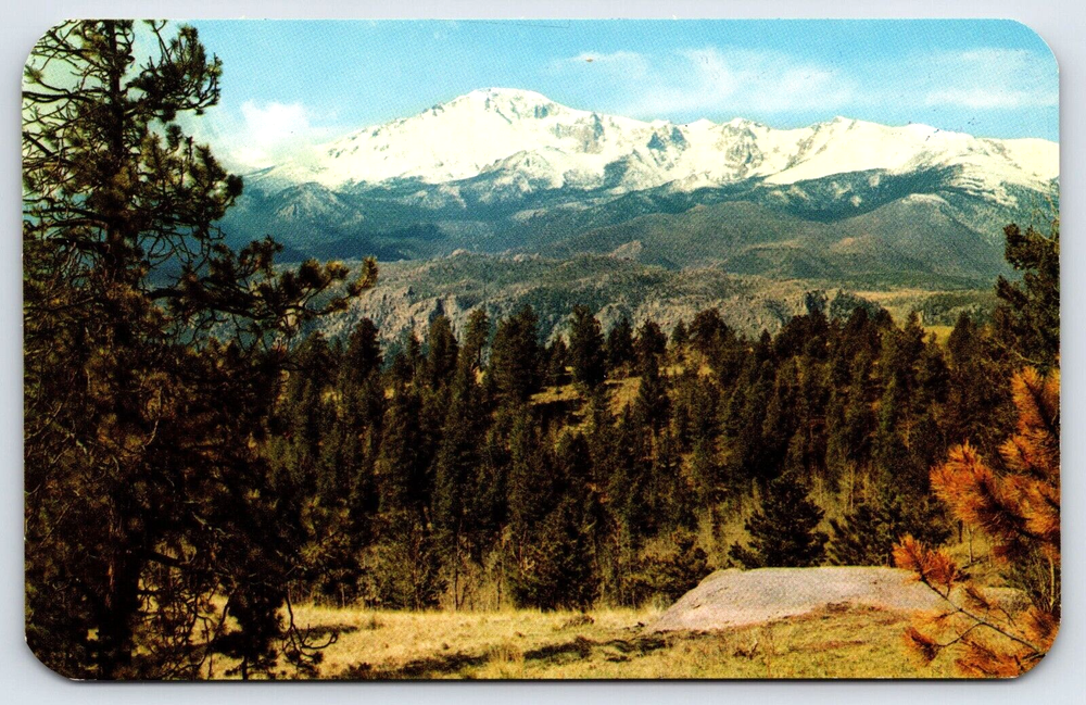 VINTAGE OLD ANTIQUE POSTCARD PIKES PEAK MOUNTAIN TREE LANDSCAPE COLORADO USA