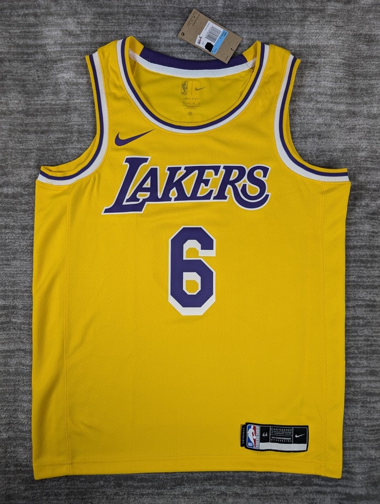 Nike Swingman Los Angeles Lakers LeBron James Jersey #6 NWT Size Medium