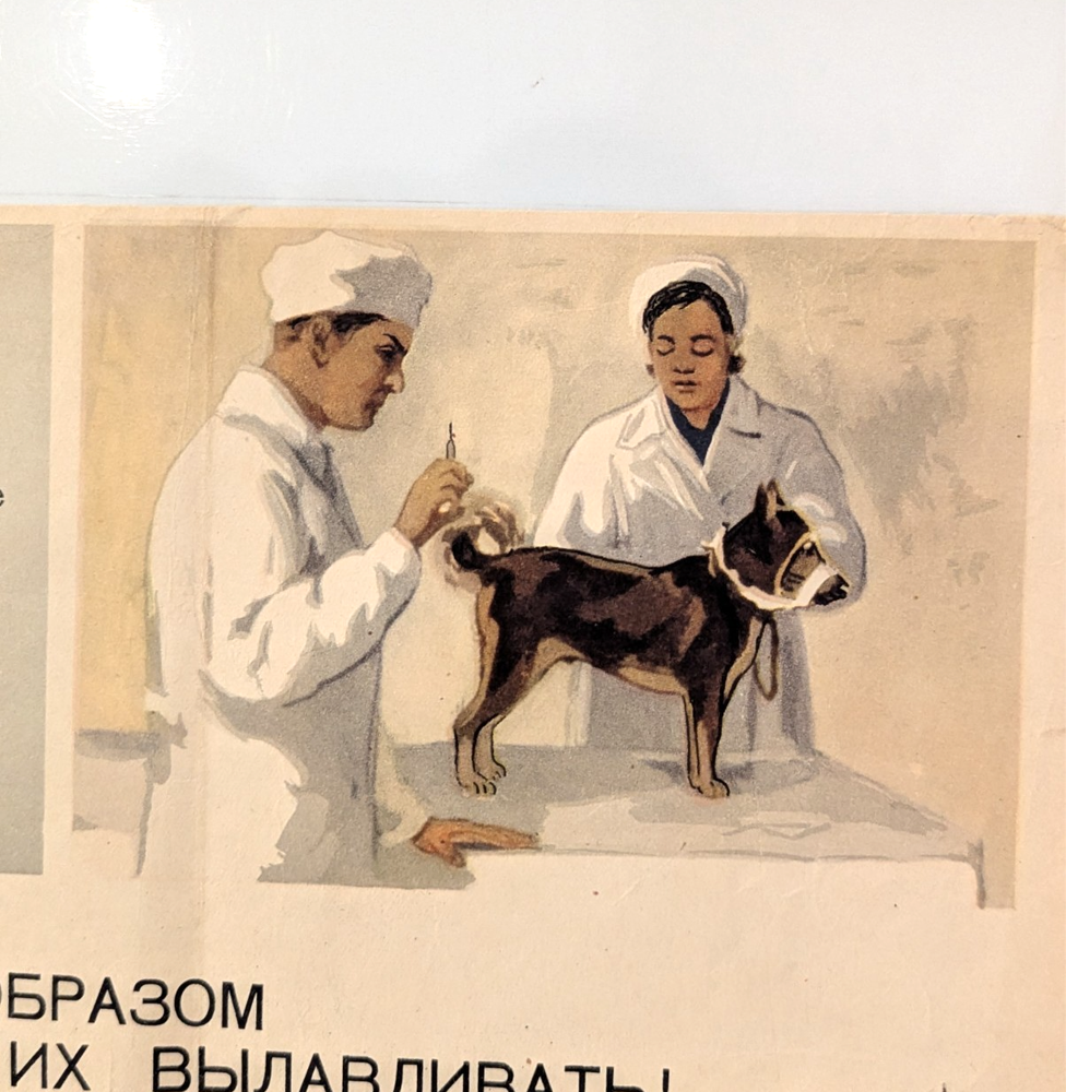 1956 Soviet Public DOG Poster - rabies prevention  animals - Walking Rules Dog