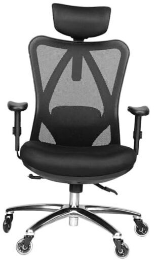 Ergonomic Office Chair - Adjustable Desk Chair with Lumbar Support and Black