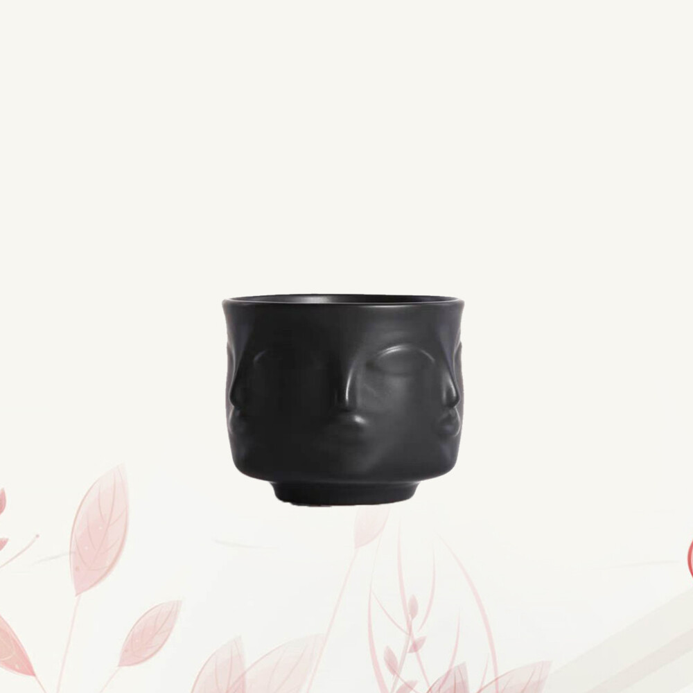 Black Porcelain Indoor Planters for Tropical Plants and Flowers
