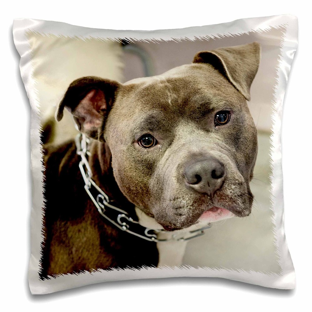 3D Rose Pit Bull with Chain Collar 16x16 Inch Pillow Case