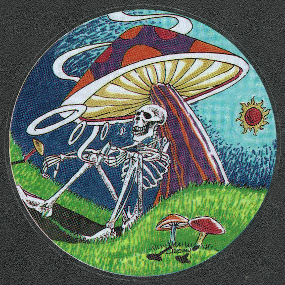 Grateful Dead Skeleton Smokes Magic Mushroom Groovy Car Window Decal