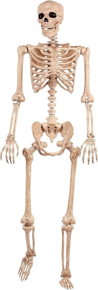 Crazy Bonez Original Pose-N-Stay Halloween Skeleton, 5 FT – Life-Size,...