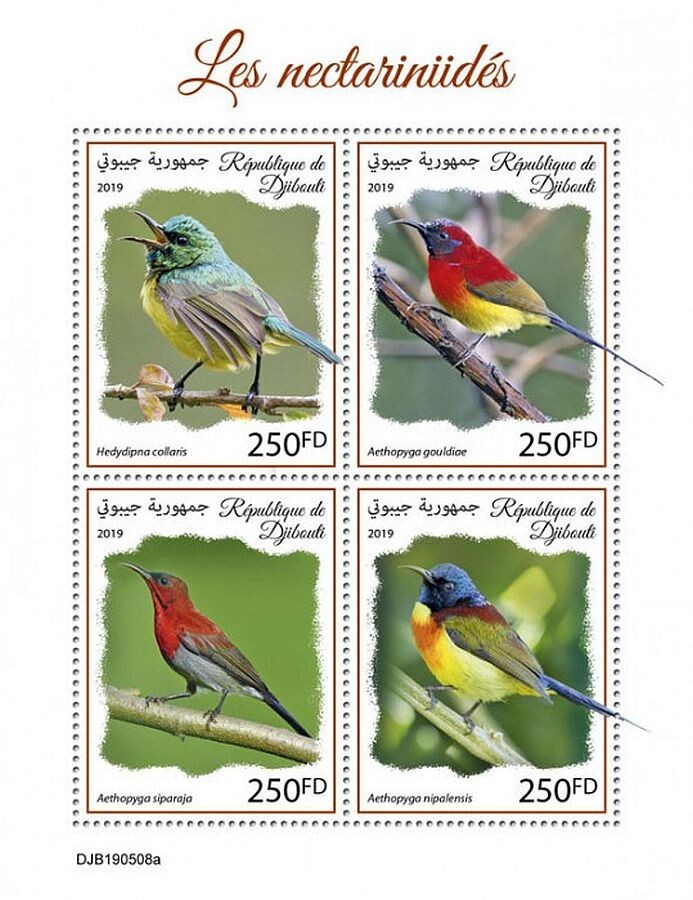 SUNBIRDS 4-Value MNH Bird/Birds Stamp Sheet #167 (2019 Djibouti)