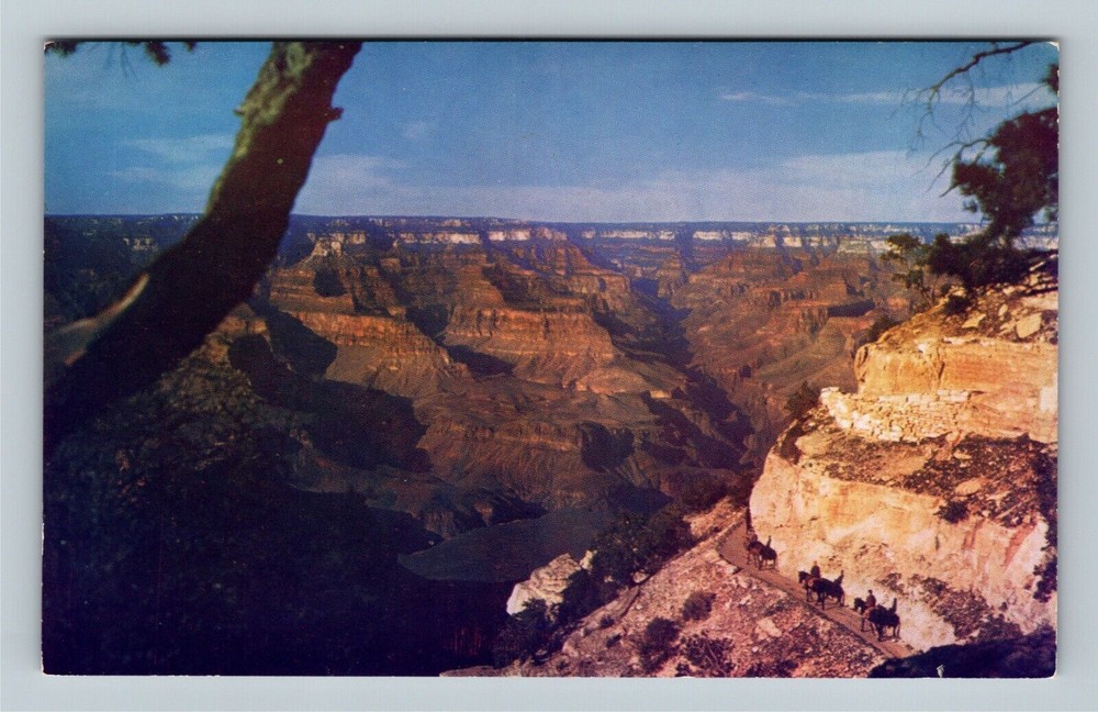Grand Canyon, Bright Angel Trail, Mule-Back Horse Rider Vintage Arizona Postcard