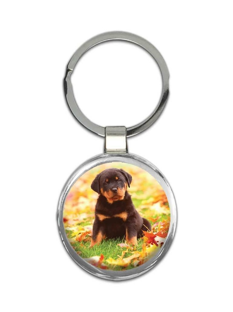 Gift Keychain : Rottweiler Pet Animal Puppy Dog Cute Leaves Autumn Fall