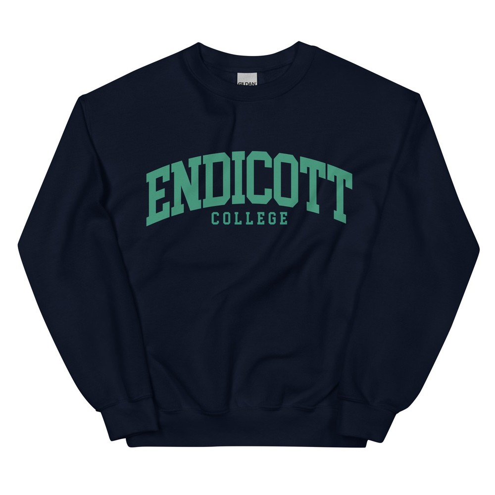 Endicott College Sweatshirt, Crewneck Pullover University Vintage Style Font