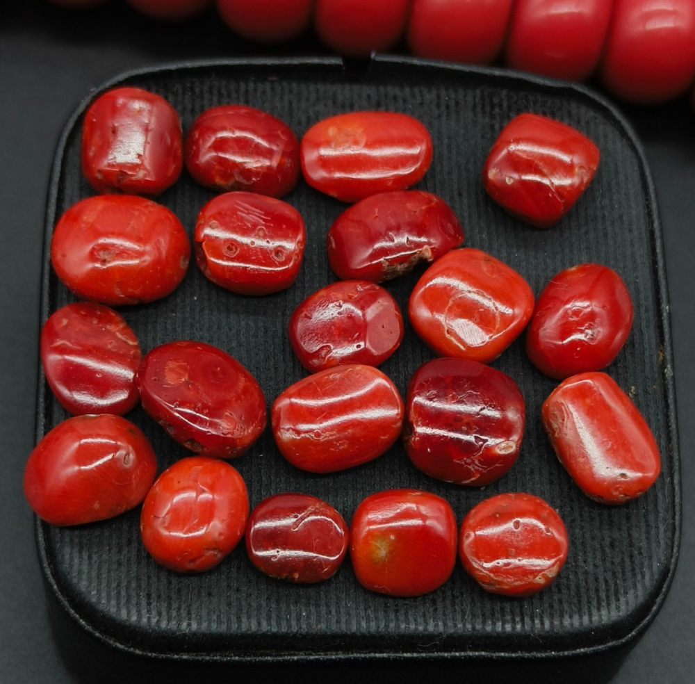 63 Carat Lot 100%Natural Italian Red Coral Cabs Flat Back Red Coral Cabochon