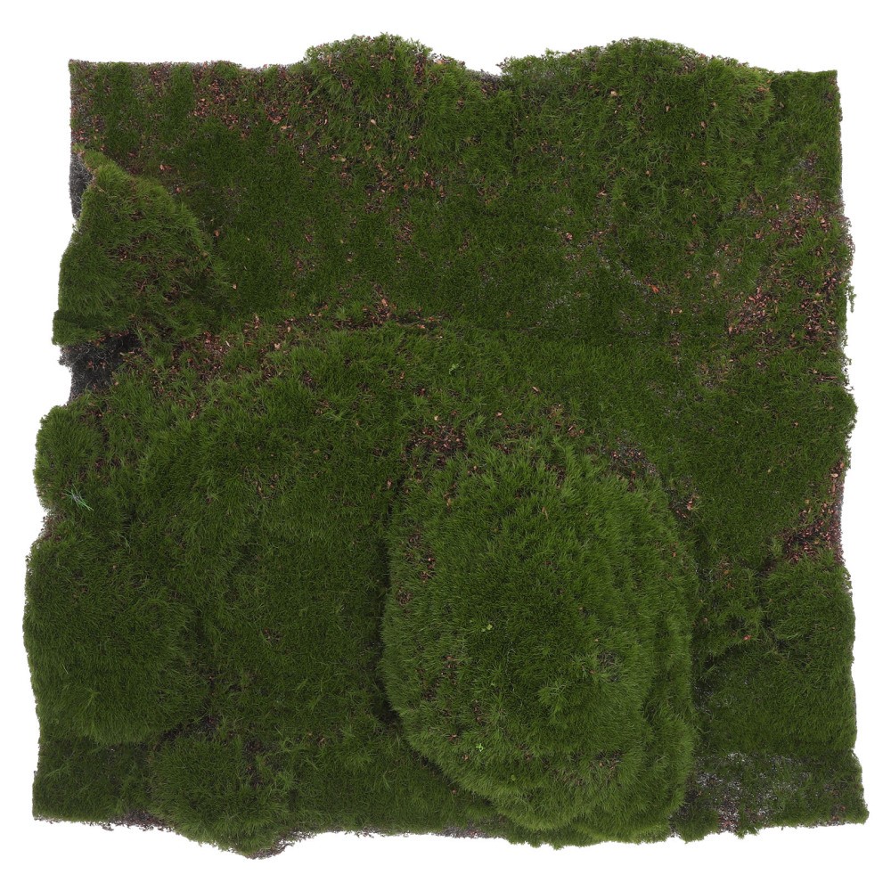 Decorative Fake Grass Rug Simulated Moss Turf for Indoor Plants