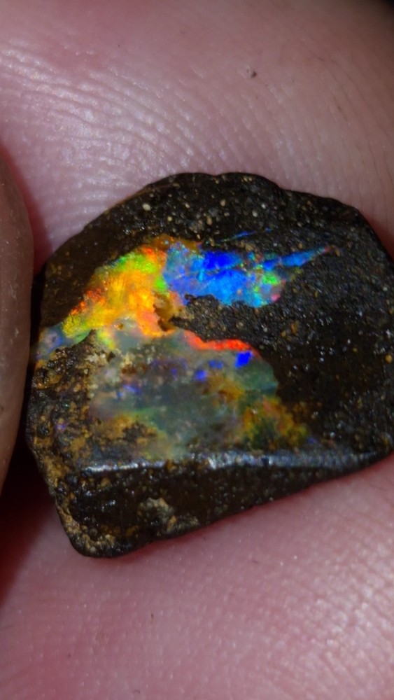 Premium Boulder Opal Gem Rough. Enchanting Rare Colour Play. Koroit Boulder Opal