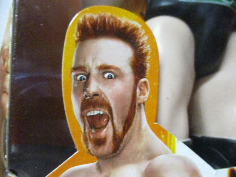 SHEAMUS Wrestler TOY  POSEABLE REDDISH BROWN HAIR  BOX DAMAGED CHRISTMAS SALE-image