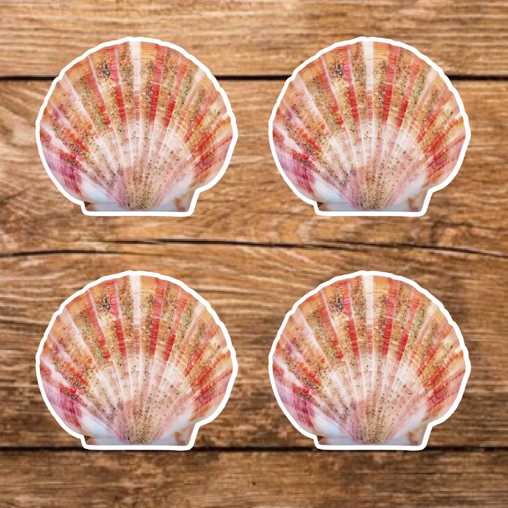 Seashell-A (4 Sticker  Set), Water Resistant, Matte Finish Vinyl, 3in.