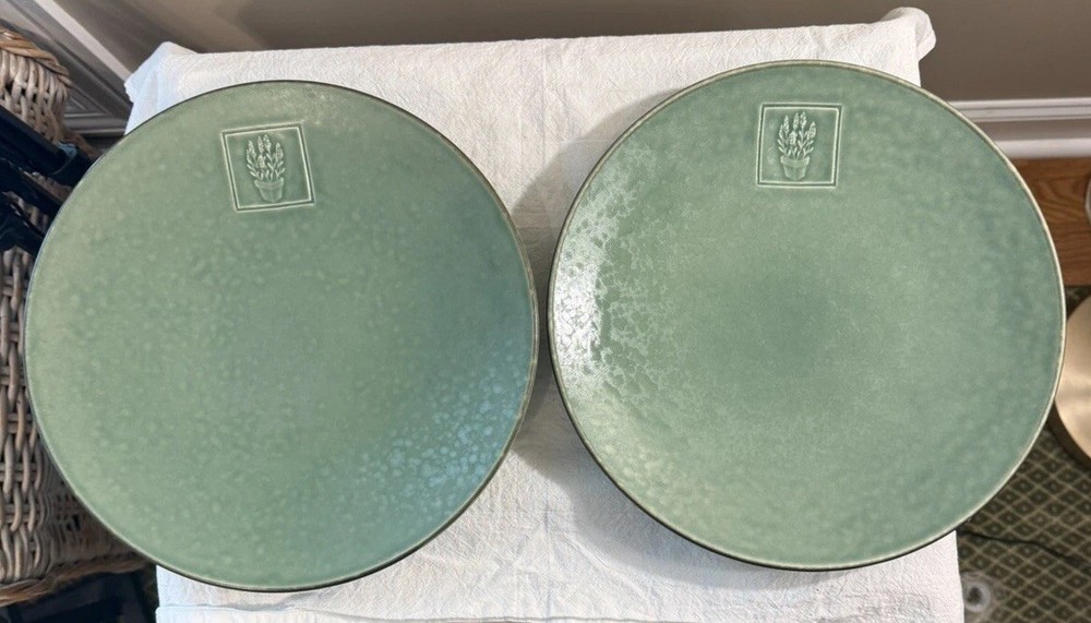 Pfaltzgraff Naturewood Serenity Green Dinner Plate with Dragonfly 11.125 Inches Made in USA  
