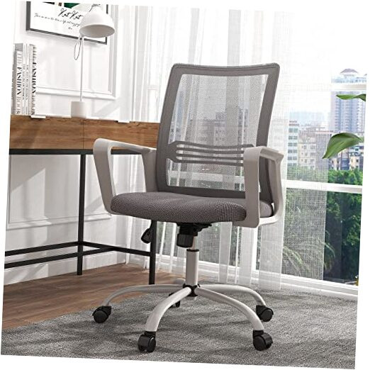 Ergonomic Mesh Office Chair for Home & Desk with Lumbar Support  