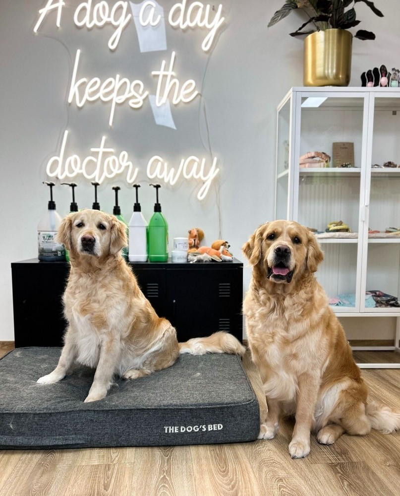 Personalized Neon Sign Custom LED Neon Name Sign Custom Acrylic Logo Wall Light