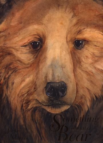 Discover Jackie Morris's 2014 Hardcover Tale About a Bear