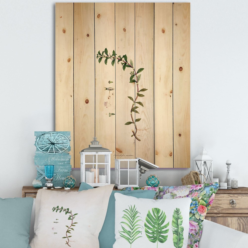 Designart 'Vintage London Plants II' Farmhouse Print on