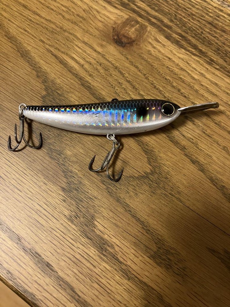 High-Performance Fishing Lure Riser Bait 008 for Enhanced Catch Rates