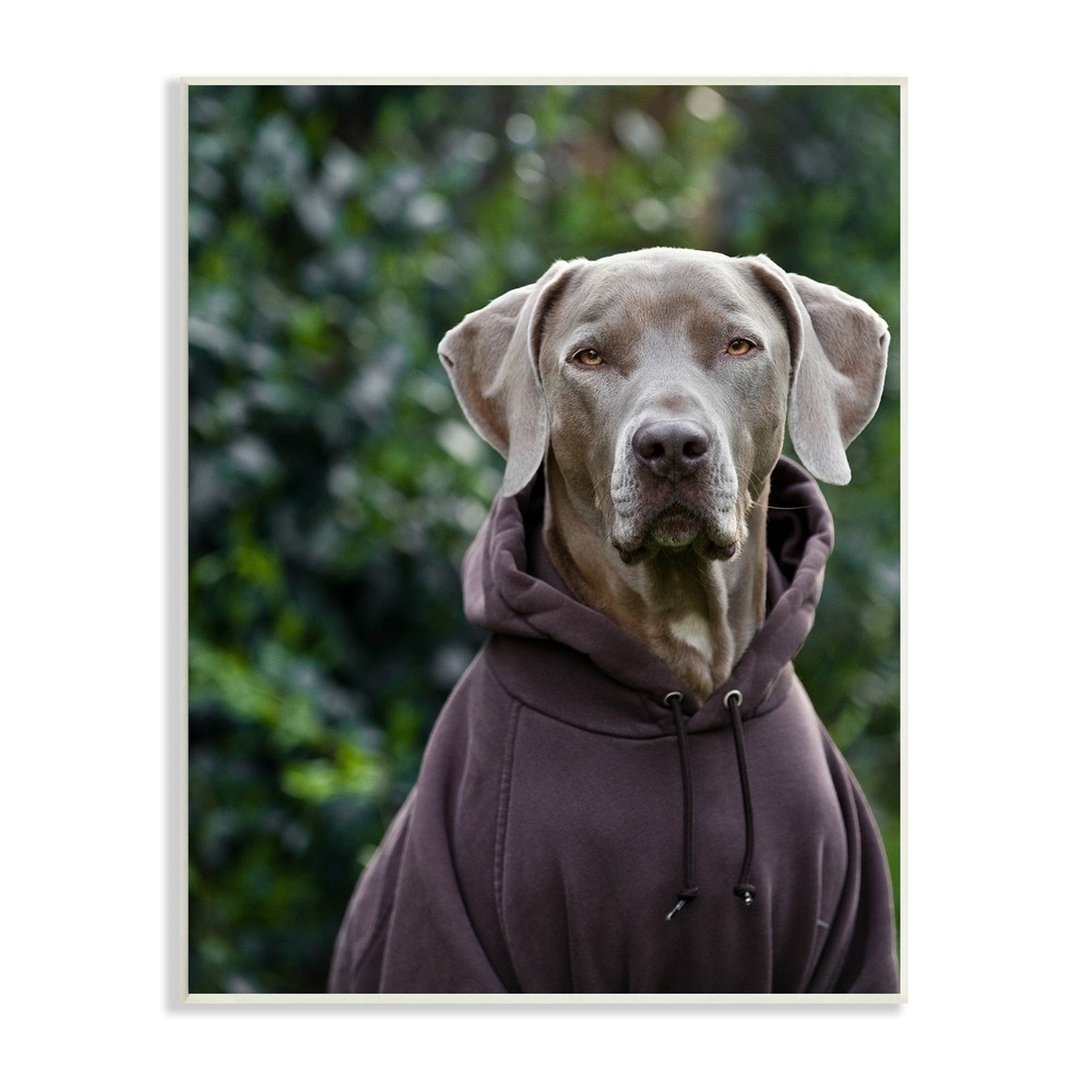 Stupell Labrador Dog Wearing Sweatshirt Hoodie Detailed