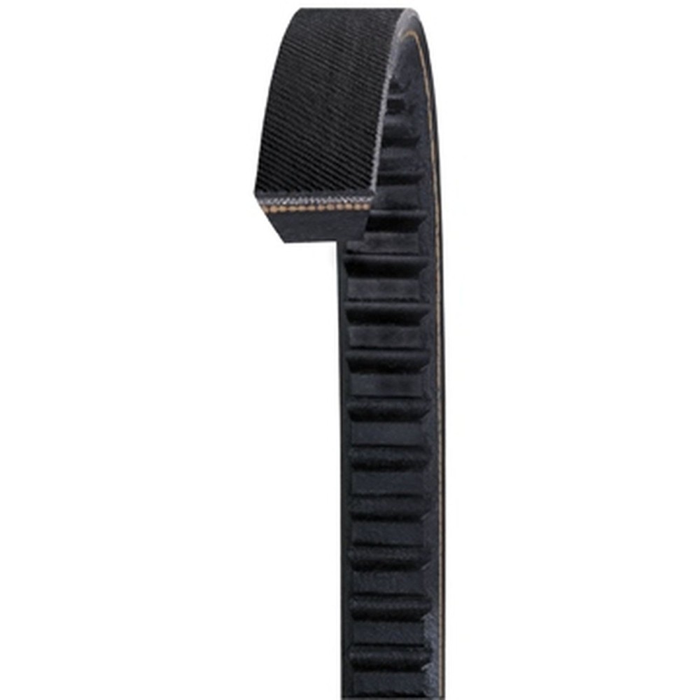 Dayco BX65 Accessory Drive Belt