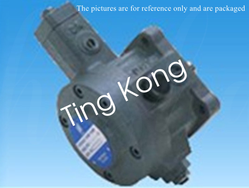 1PC High pressure vane pump SQPS4-189-FRAA-02 SQPS4-189-FRAA-O2 via FedEx or DHL