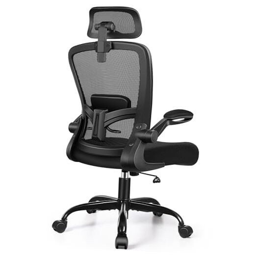 Ergonomic Office Chair, Headrest Desk Chair with Adjustable Lumbar Support,