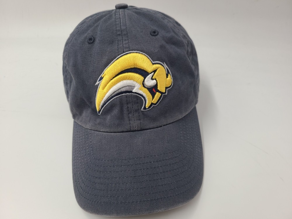 Buffalo Sabres Twins Enterprise Franchise The Perfect Fitted L Hat Cap NHL Blue