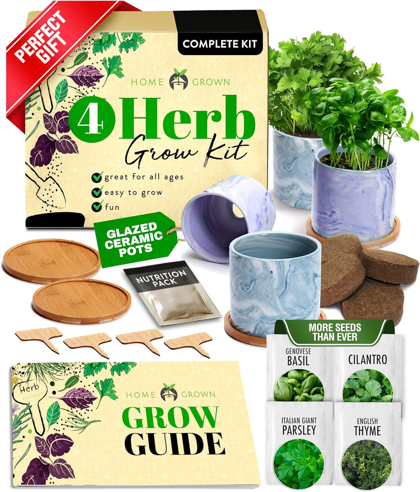 Indoor Herb Garden Kit with Glazed Ceramic Pot for Simple Kitchen Gardening