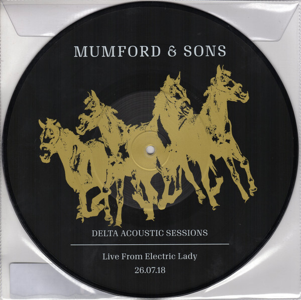 Mumford  Sons - Delta Acoustic Sessions Live From Electric Lady 26 - T16280A