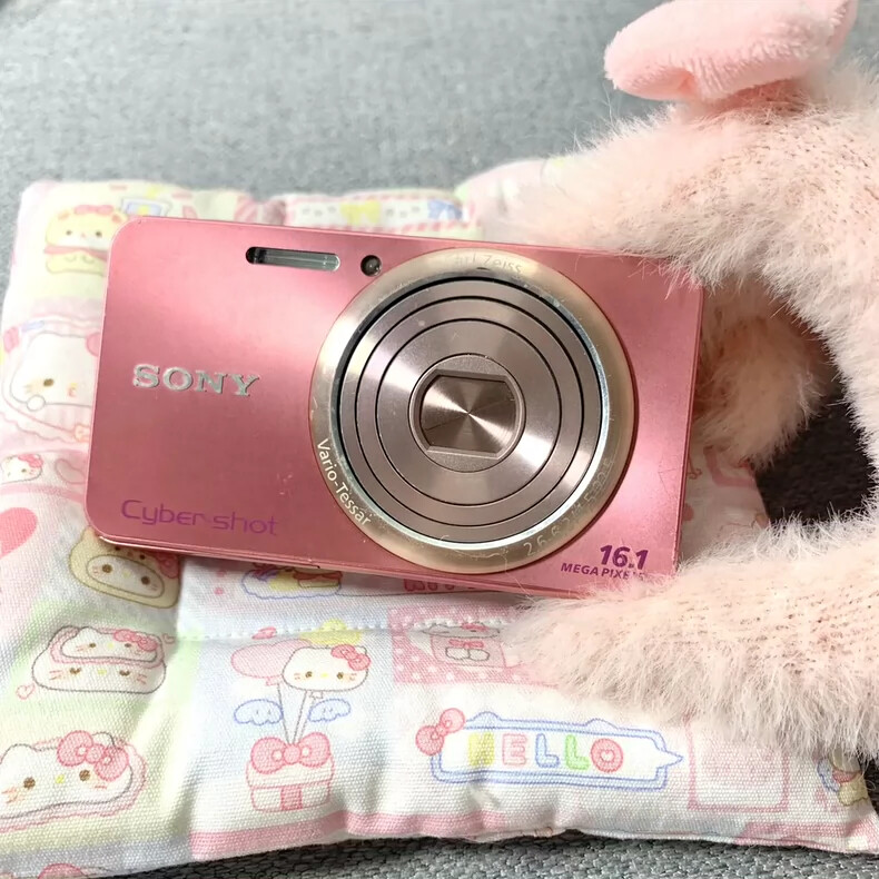 SONY Cyber-shot DSC-W570 16.1MP 5x Zoom Pink Digital Camera -90% Off