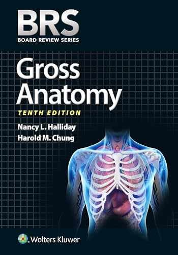 BRS Gross Anatomy (Board Review - Paperback, by Halliday PhD Dr. - Very Good
