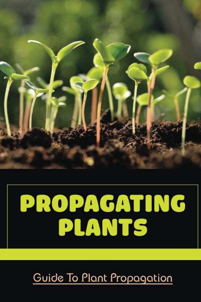 Ulysses Stott Propagating Plants (Paperback)