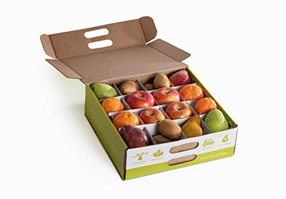 BTB Small Box Fruit-Only Snack Pack