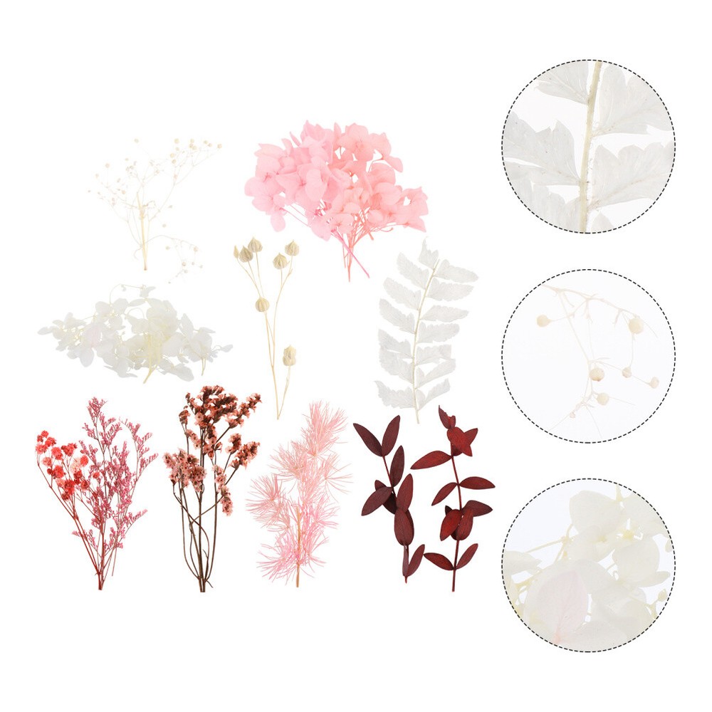 Dried Flower Round Foam Blocks for Flowers Bunny Tails Artificial Hydrangea