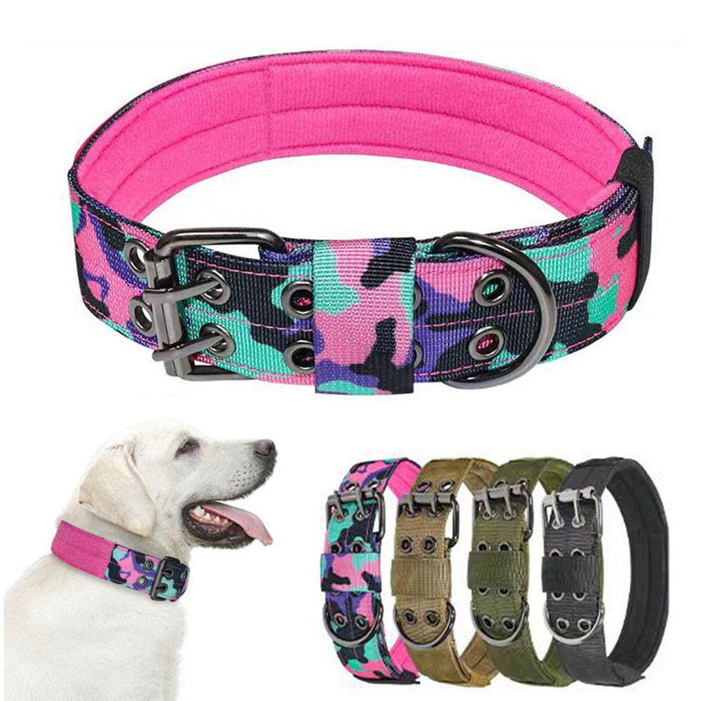 Military-Grade Nylon Pet Collar Leash with Buckle for Training Walking