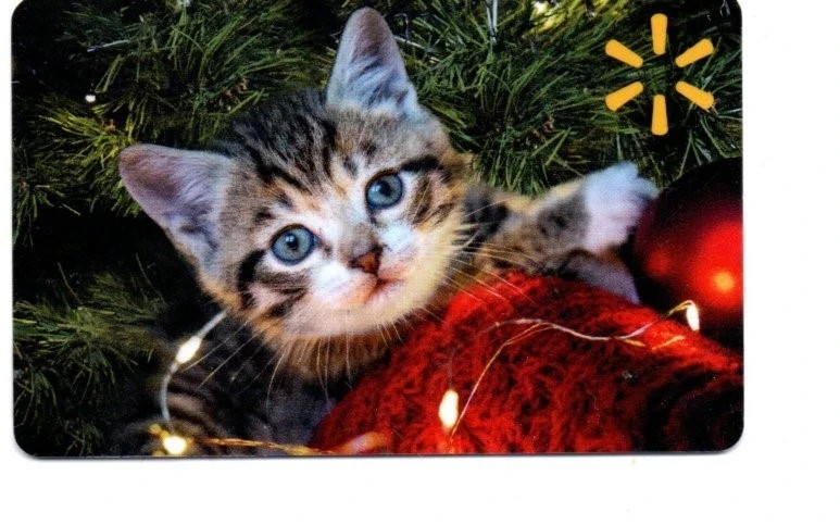 Walmart Gift Card Cute Kitten Cat Holiday Christmas Tree No $ Value $0-image