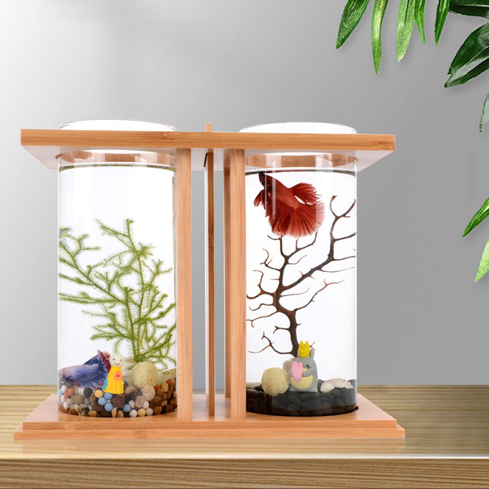 Mini Desktop Betta Fish Tank – Dual Glass Aquarium Bowl for Small Spaces  