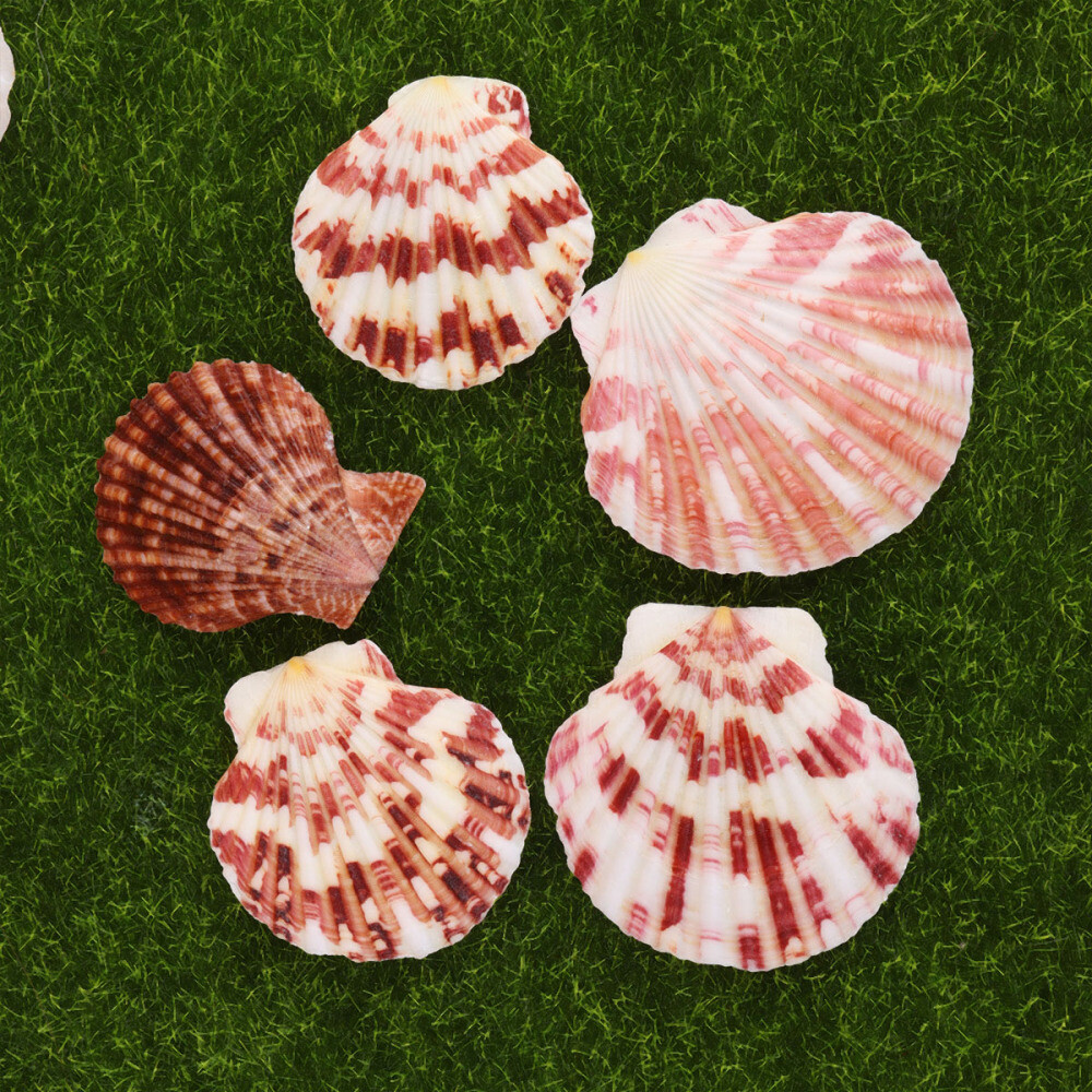 DIY Photo Frame Materials Tank Toy Mini Seashells Aquarium Heater