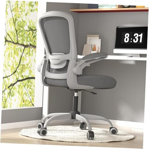 Office Chair, Ergonomic Desk Chair with Adjustable Lumbar Support, High Back